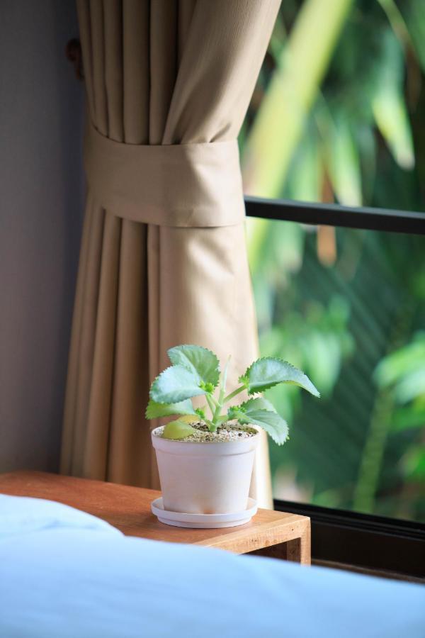 In My Place Cafotel Khlong Thom المظهر الخارجي الصورة